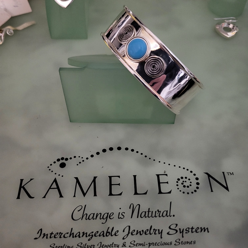 Stainless Steel Bangle Bracelet